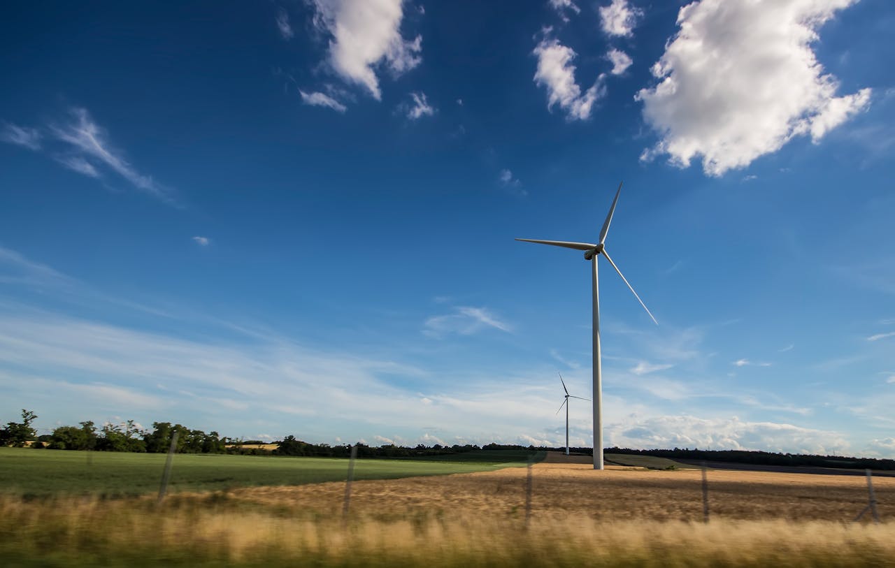 Windmolens in een weiland
